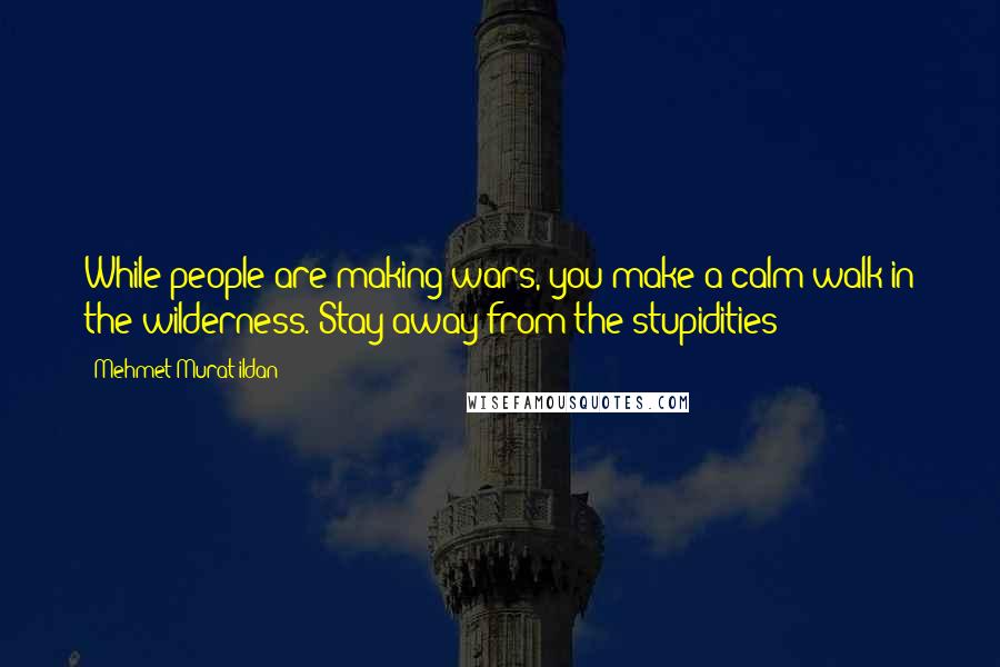 Mehmet Murat Ildan Quotes: While people are making wars, you make a calm walk in the wilderness. Stay away from the stupidities!