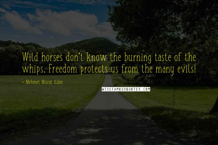 Mehmet Murat Ildan Quotes: Wild horses don't know the burning taste of the whips. Freedom protects us from the many evils!