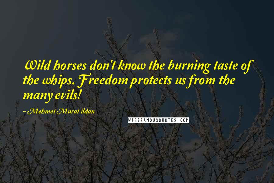 Mehmet Murat Ildan Quotes: Wild horses don't know the burning taste of the whips. Freedom protects us from the many evils!