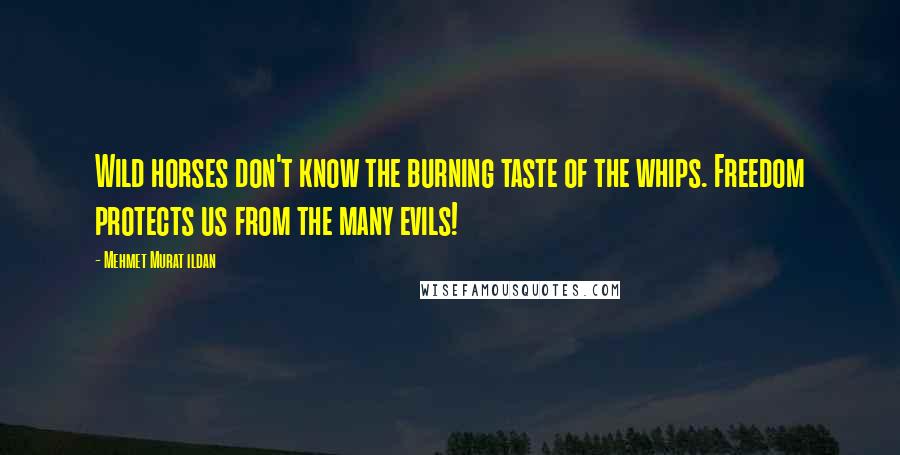 Mehmet Murat Ildan Quotes: Wild horses don't know the burning taste of the whips. Freedom protects us from the many evils!