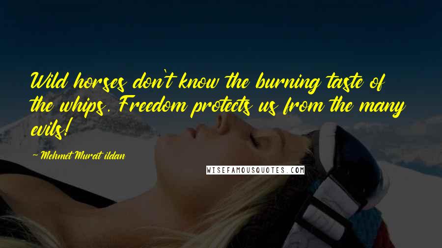 Mehmet Murat Ildan Quotes: Wild horses don't know the burning taste of the whips. Freedom protects us from the many evils!