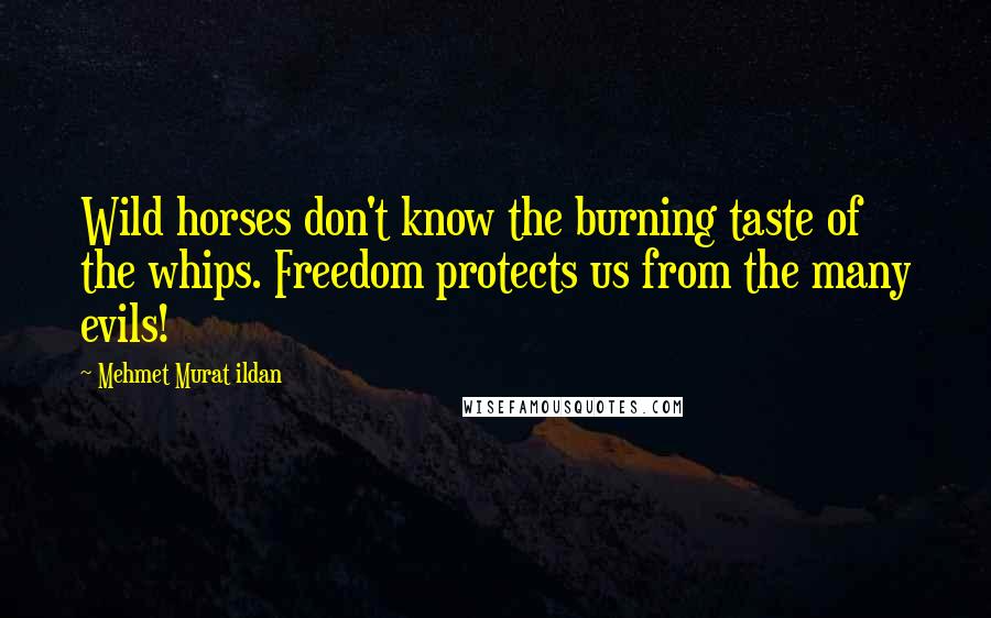 Mehmet Murat Ildan Quotes: Wild horses don't know the burning taste of the whips. Freedom protects us from the many evils!