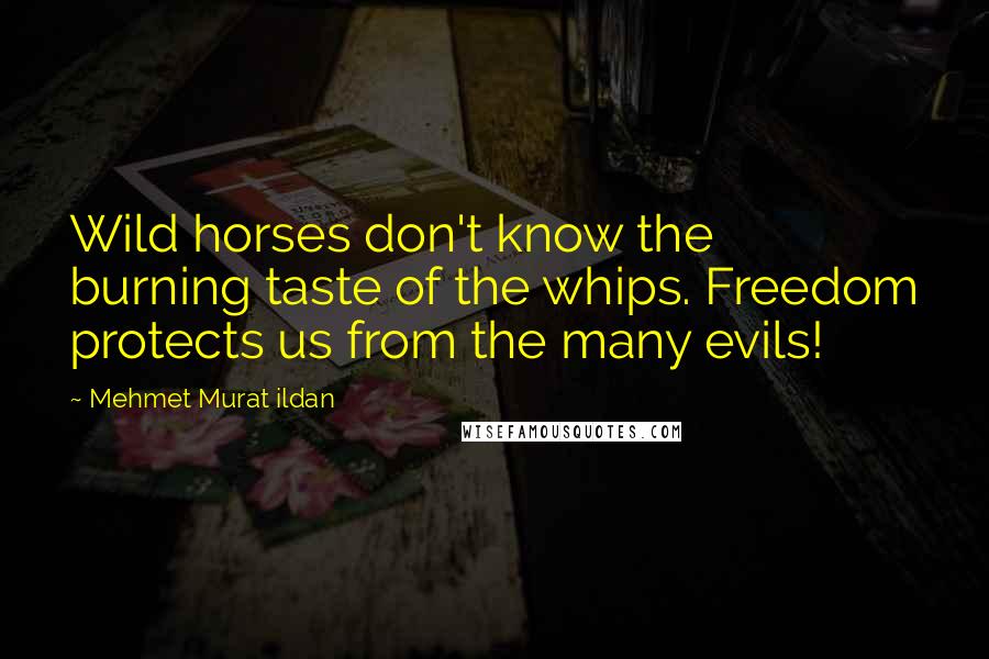 Mehmet Murat Ildan Quotes: Wild horses don't know the burning taste of the whips. Freedom protects us from the many evils!
