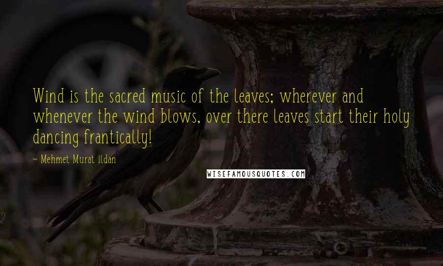 Mehmet Murat Ildan Quotes: Wind is the sacred music of the leaves; wherever and whenever the wind blows, over there leaves start their holy dancing frantically!