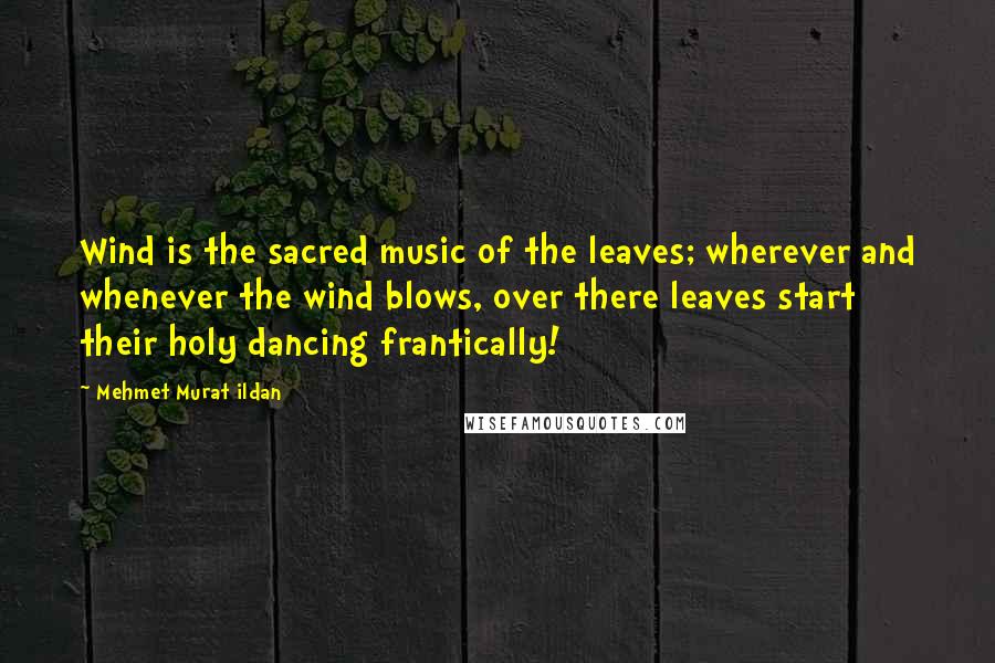 Mehmet Murat Ildan Quotes: Wind is the sacred music of the leaves; wherever and whenever the wind blows, over there leaves start their holy dancing frantically!