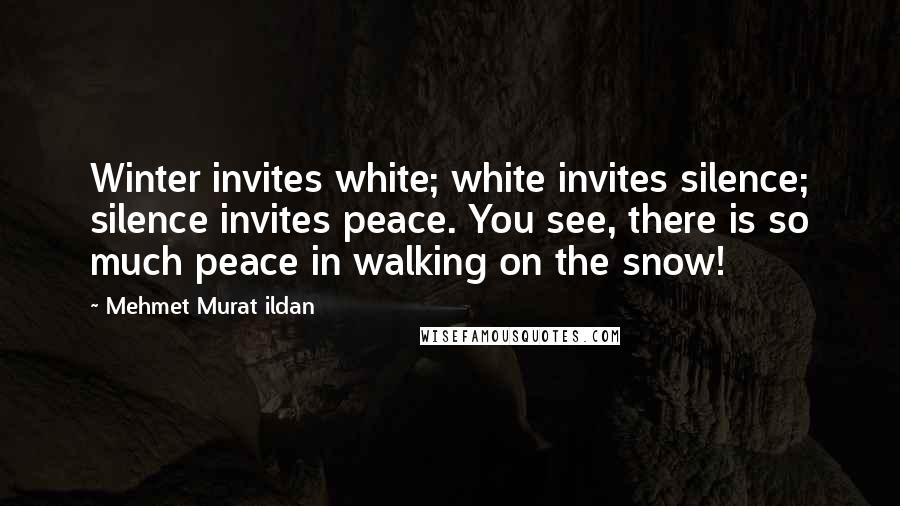 Mehmet Murat Ildan Quotes: Winter invites white; white invites silence; silence invites peace. You see, there is so much peace in walking on the snow!