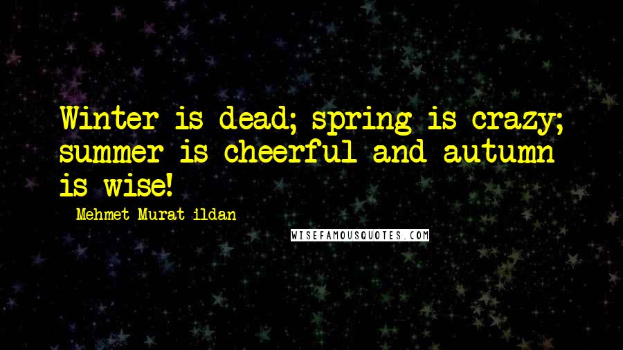 Mehmet Murat Ildan Quotes: Winter is dead; spring is crazy; summer is cheerful and autumn is wise!