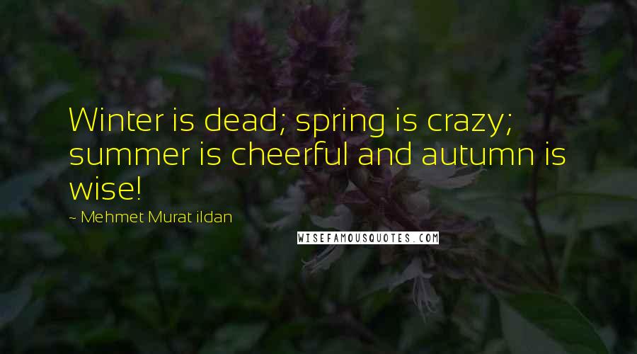 Mehmet Murat Ildan Quotes: Winter is dead; spring is crazy; summer is cheerful and autumn is wise!