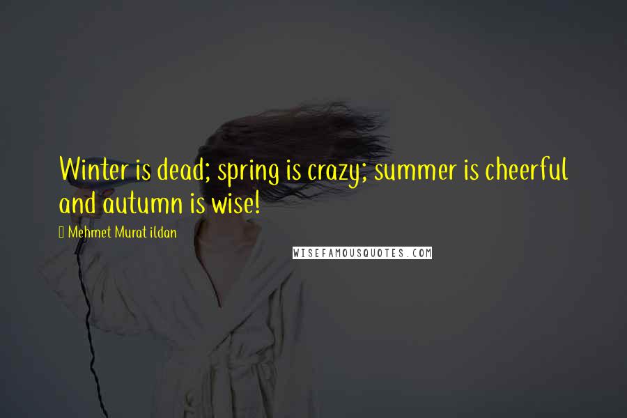 Mehmet Murat Ildan Quotes: Winter is dead; spring is crazy; summer is cheerful and autumn is wise!