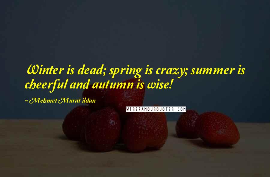 Mehmet Murat Ildan Quotes: Winter is dead; spring is crazy; summer is cheerful and autumn is wise!