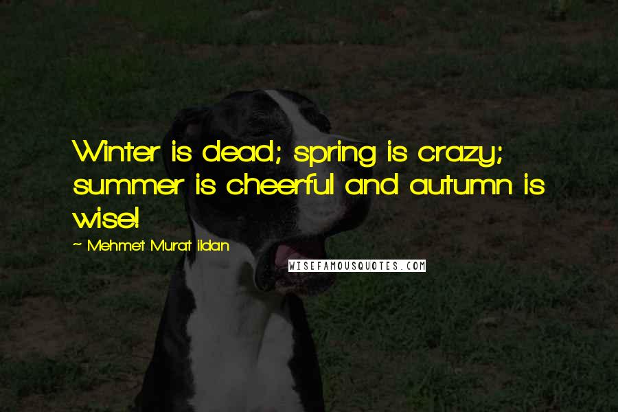 Mehmet Murat Ildan Quotes: Winter is dead; spring is crazy; summer is cheerful and autumn is wise!