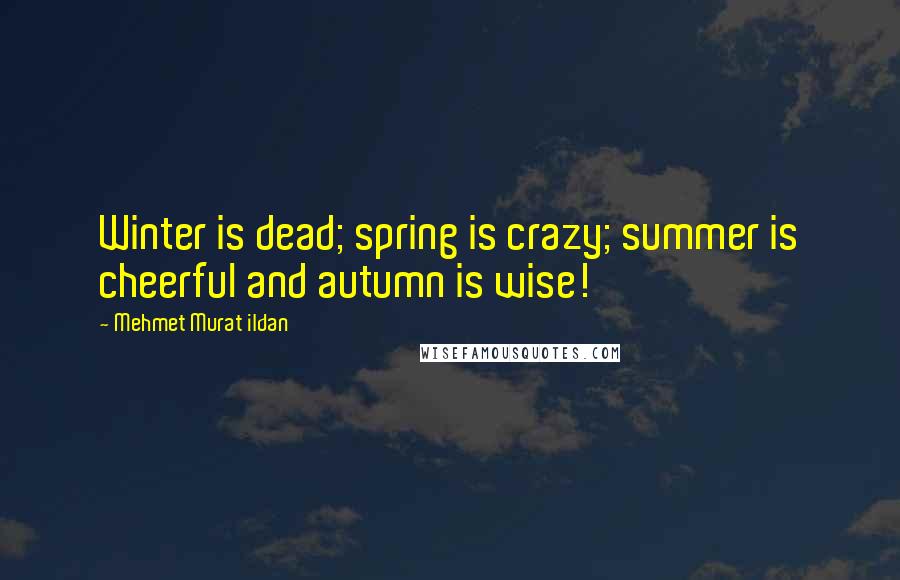 Mehmet Murat Ildan Quotes: Winter is dead; spring is crazy; summer is cheerful and autumn is wise!