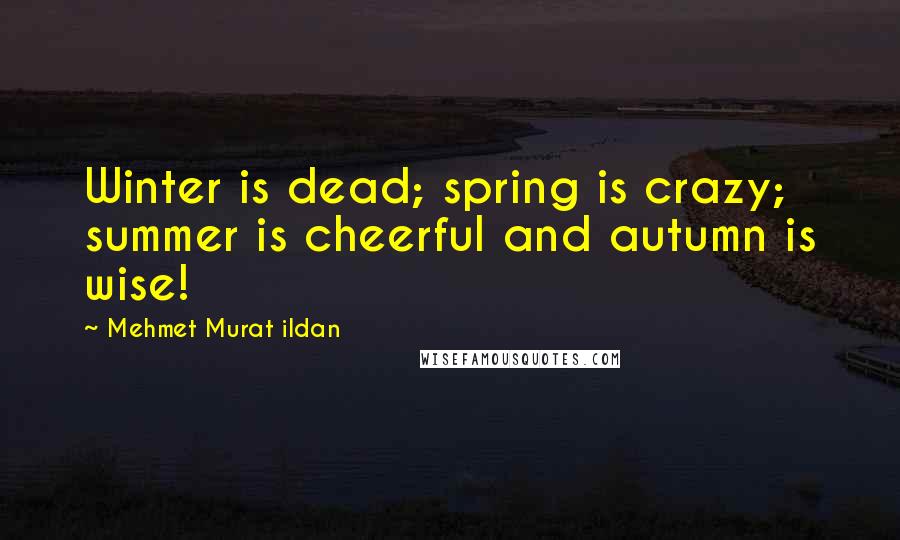 Mehmet Murat Ildan Quotes: Winter is dead; spring is crazy; summer is cheerful and autumn is wise!