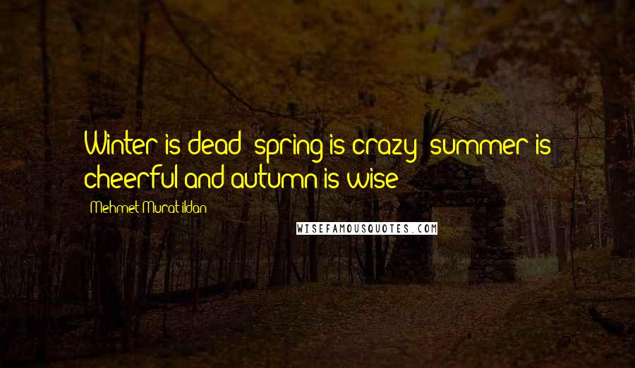 Mehmet Murat Ildan Quotes: Winter is dead; spring is crazy; summer is cheerful and autumn is wise!