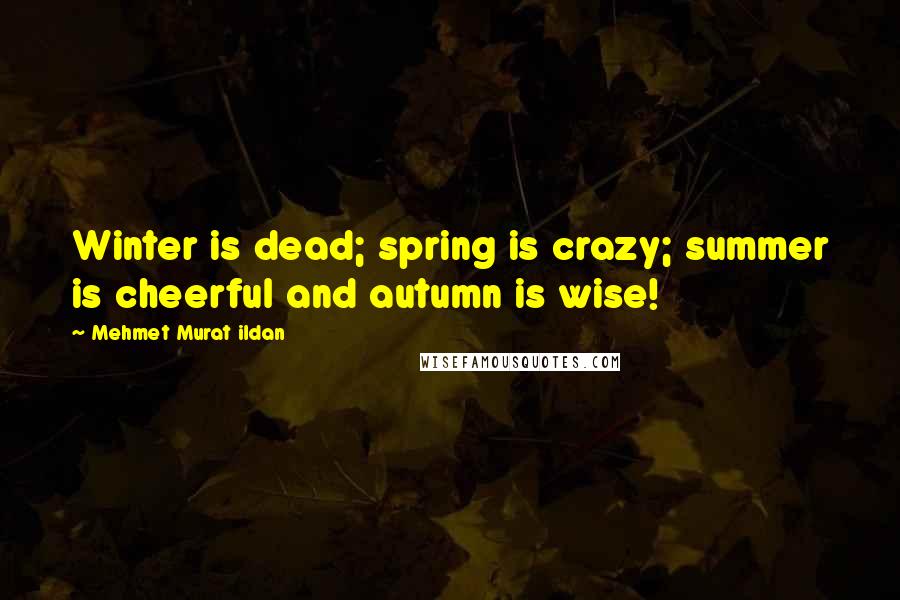 Mehmet Murat Ildan Quotes: Winter is dead; spring is crazy; summer is cheerful and autumn is wise!