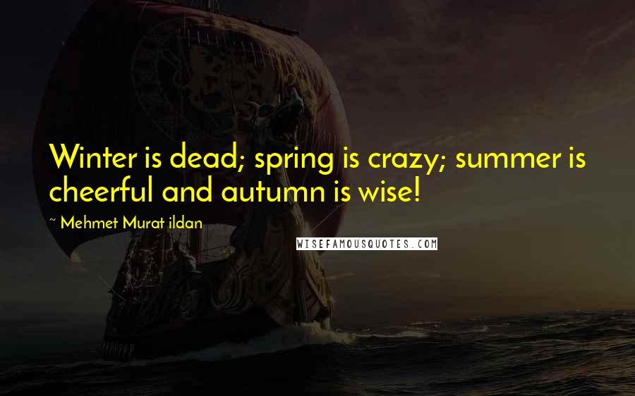 Mehmet Murat Ildan Quotes: Winter is dead; spring is crazy; summer is cheerful and autumn is wise!