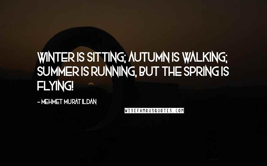 Mehmet Murat Ildan Quotes: Winter is sitting; autumn is walking; summer is running, but the Spring is flying!