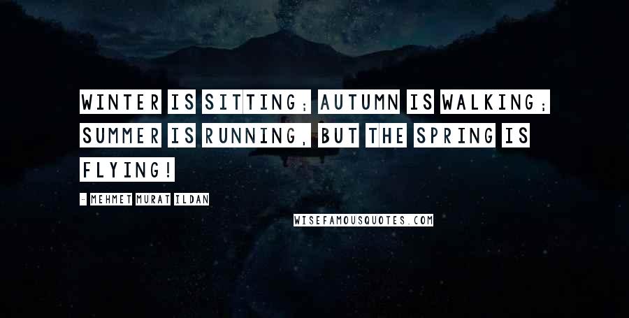 Mehmet Murat Ildan Quotes: Winter is sitting; autumn is walking; summer is running, but the Spring is flying!