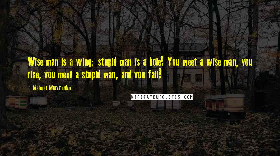 Mehmet Murat Ildan Quotes: Wise man is a wing; stupid man is a hole! You meet a wise man, you rise, you meet a stupid man, and you fall!