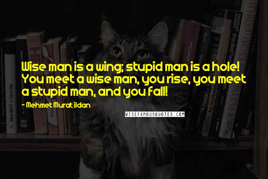 Mehmet Murat Ildan Quotes: Wise man is a wing; stupid man is a hole! You meet a wise man, you rise, you meet a stupid man, and you fall!