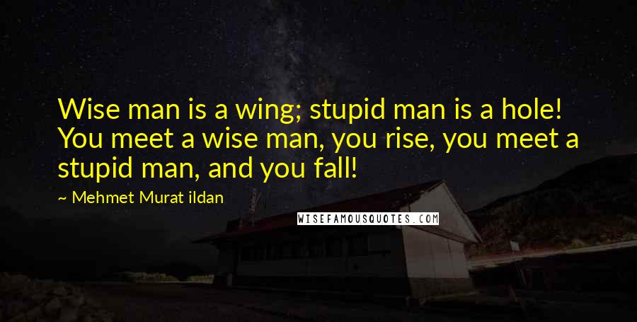 Mehmet Murat Ildan Quotes: Wise man is a wing; stupid man is a hole! You meet a wise man, you rise, you meet a stupid man, and you fall!