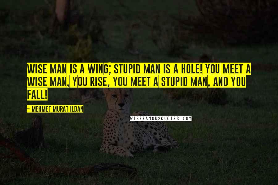 Mehmet Murat Ildan Quotes: Wise man is a wing; stupid man is a hole! You meet a wise man, you rise, you meet a stupid man, and you fall!