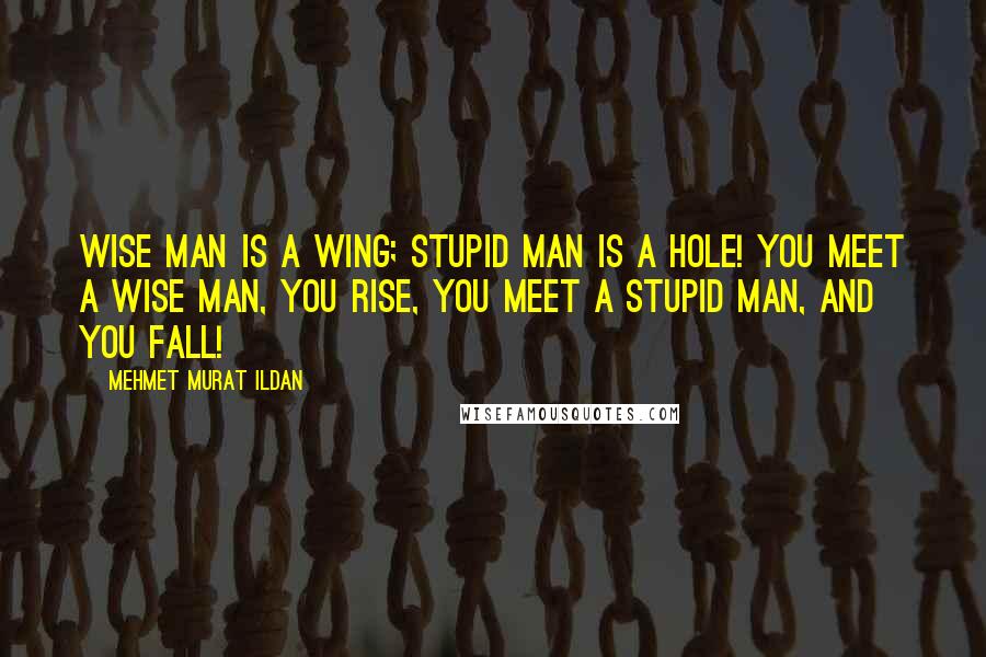 Mehmet Murat Ildan Quotes: Wise man is a wing; stupid man is a hole! You meet a wise man, you rise, you meet a stupid man, and you fall!