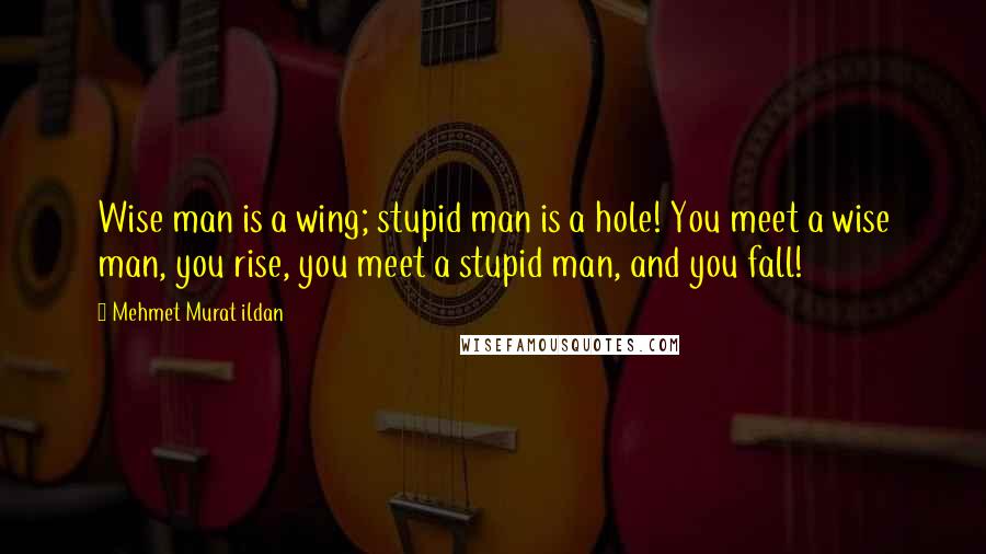 Mehmet Murat Ildan Quotes: Wise man is a wing; stupid man is a hole! You meet a wise man, you rise, you meet a stupid man, and you fall!
