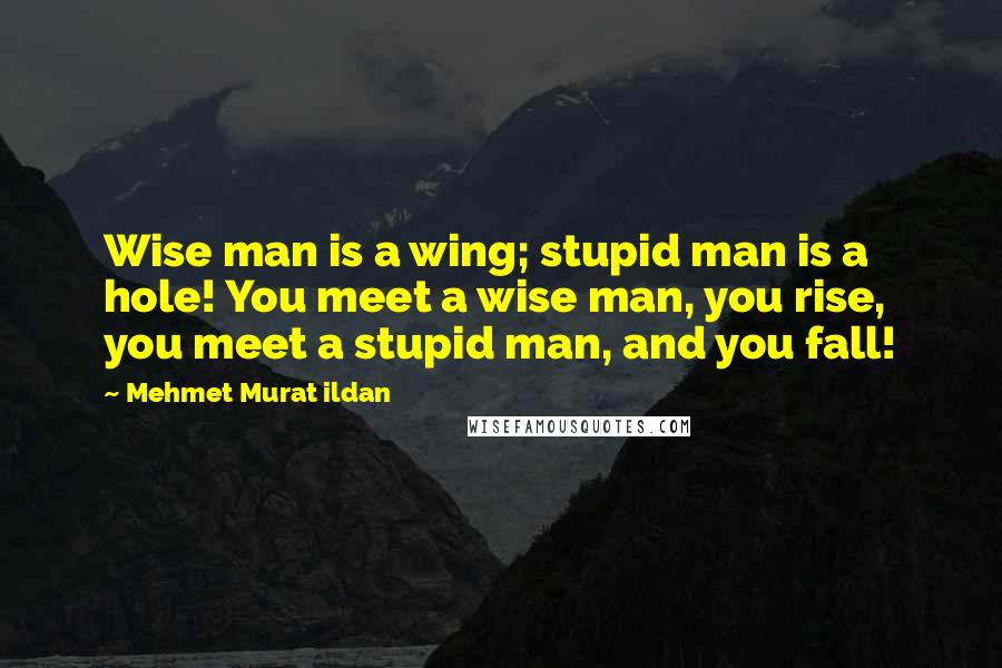 Mehmet Murat Ildan Quotes: Wise man is a wing; stupid man is a hole! You meet a wise man, you rise, you meet a stupid man, and you fall!
