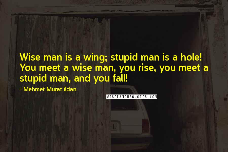 Mehmet Murat Ildan Quotes: Wise man is a wing; stupid man is a hole! You meet a wise man, you rise, you meet a stupid man, and you fall!