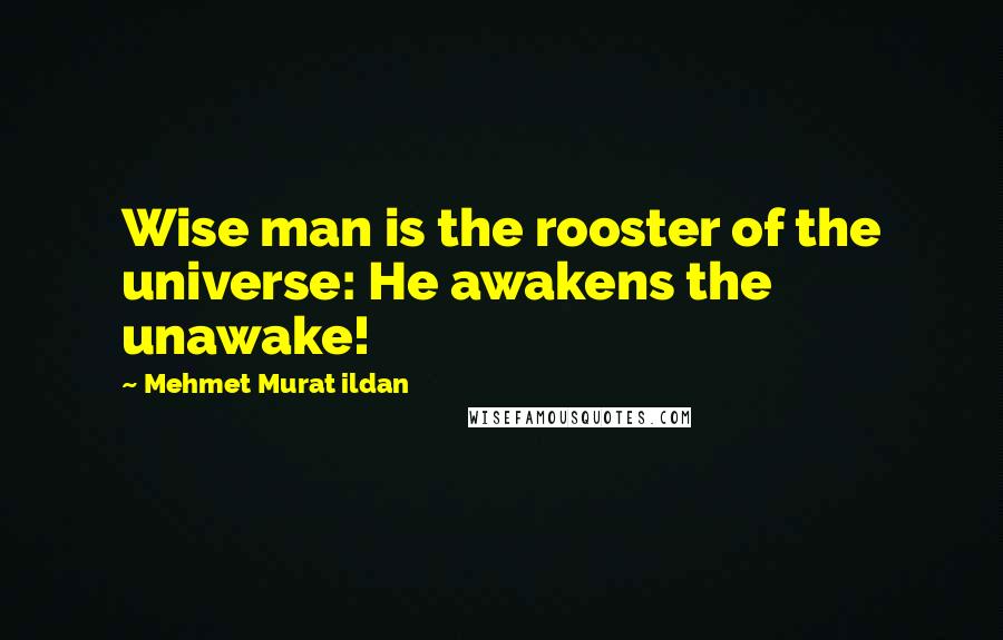 Mehmet Murat Ildan Quotes: Wise man is the rooster of the universe: He awakens the unawake!