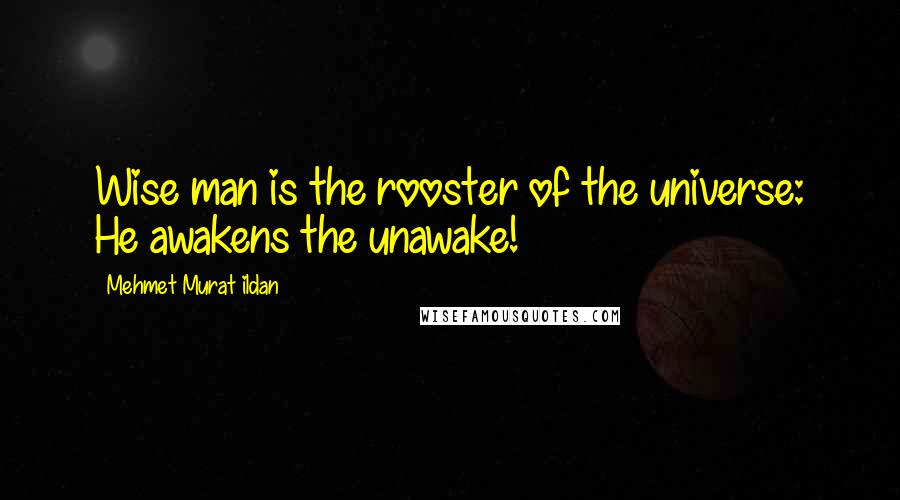 Mehmet Murat Ildan Quotes: Wise man is the rooster of the universe: He awakens the unawake!