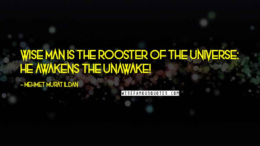 Mehmet Murat Ildan Quotes: Wise man is the rooster of the universe: He awakens the unawake!