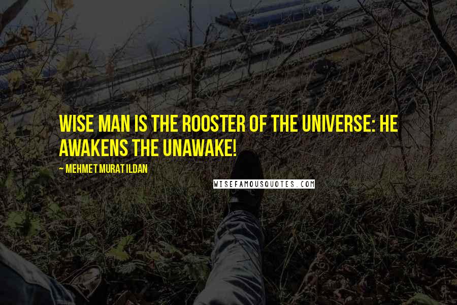 Mehmet Murat Ildan Quotes: Wise man is the rooster of the universe: He awakens the unawake!