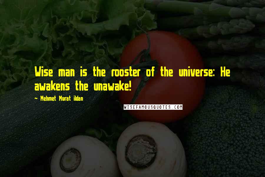 Mehmet Murat Ildan Quotes: Wise man is the rooster of the universe: He awakens the unawake!