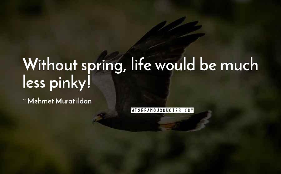 Mehmet Murat Ildan Quotes: Without spring, life would be much less pinky!