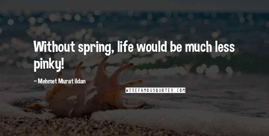 Mehmet Murat Ildan Quotes: Without spring, life would be much less pinky!