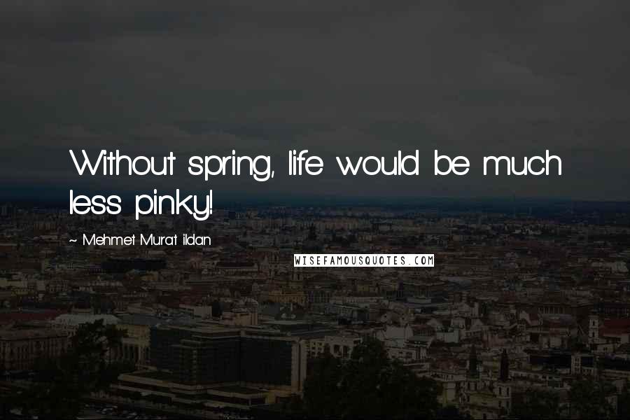 Mehmet Murat Ildan Quotes: Without spring, life would be much less pinky!