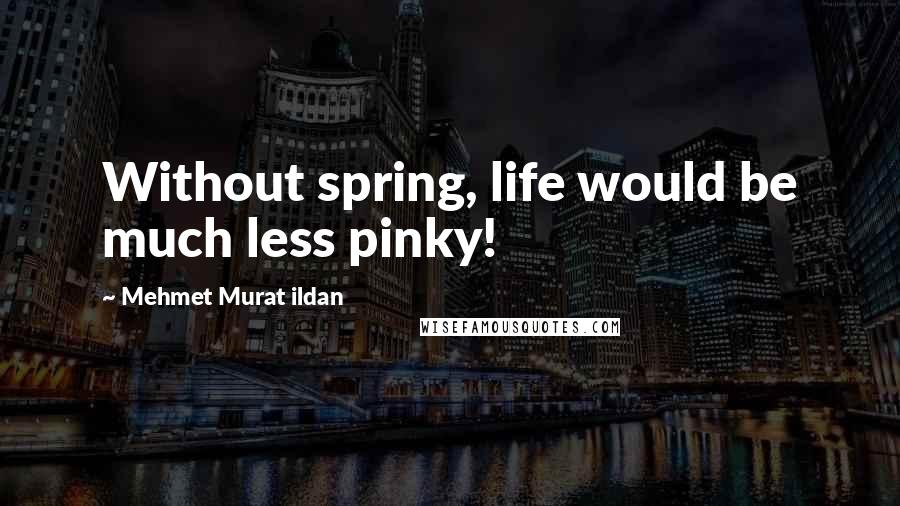 Mehmet Murat Ildan Quotes: Without spring, life would be much less pinky!
