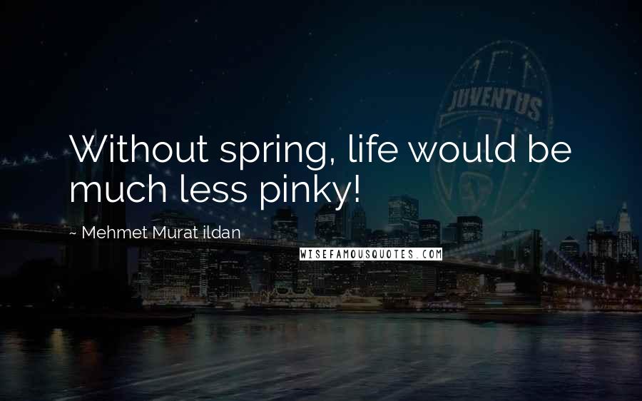 Mehmet Murat Ildan Quotes: Without spring, life would be much less pinky!