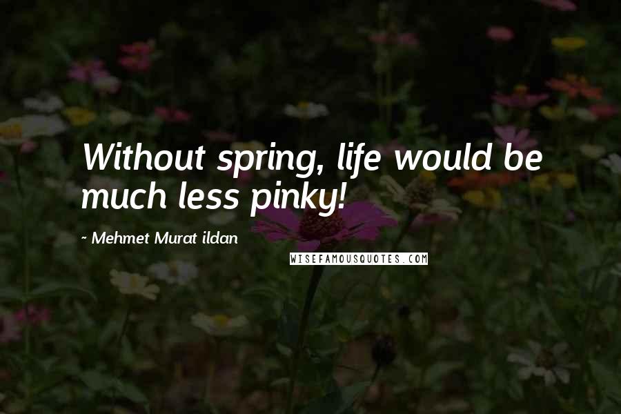 Mehmet Murat Ildan Quotes: Without spring, life would be much less pinky!