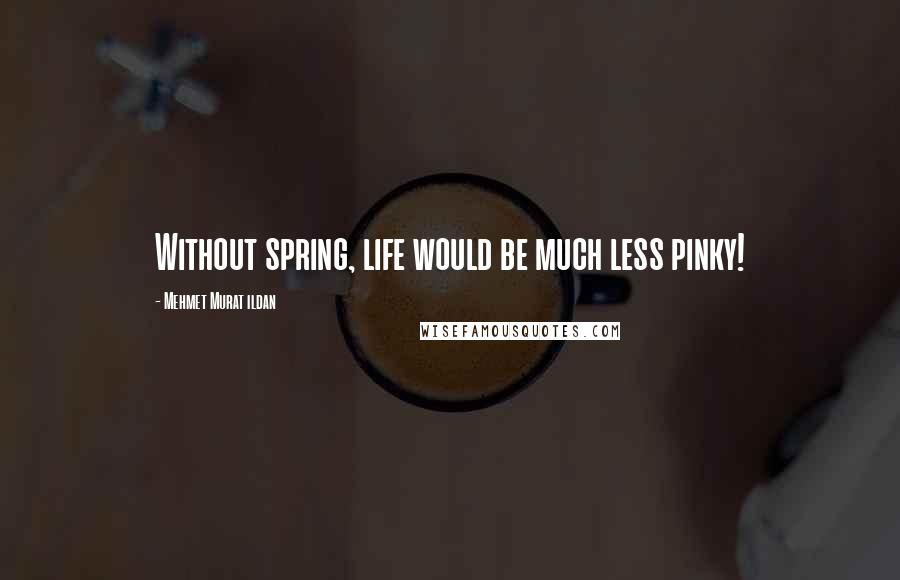 Mehmet Murat Ildan Quotes: Without spring, life would be much less pinky!