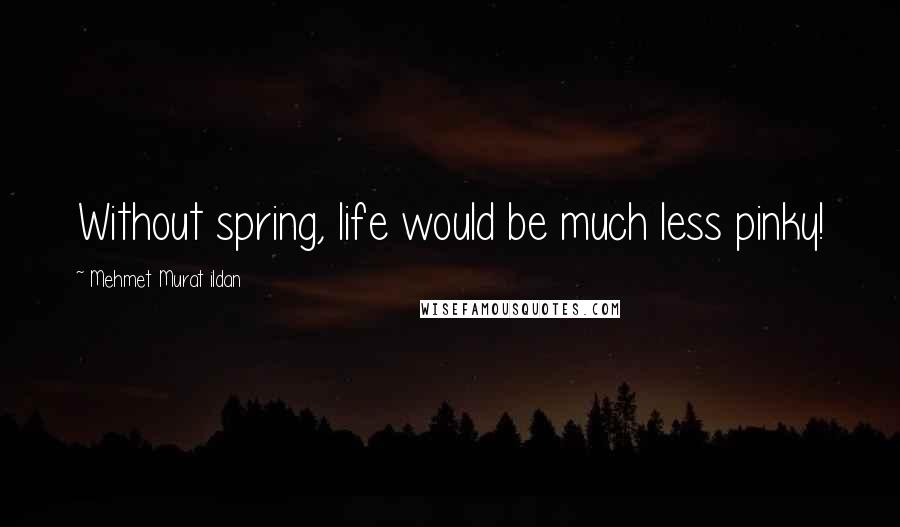 Mehmet Murat Ildan Quotes: Without spring, life would be much less pinky!