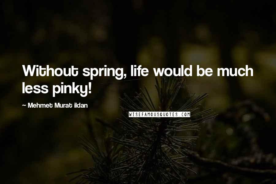 Mehmet Murat Ildan Quotes: Without spring, life would be much less pinky!