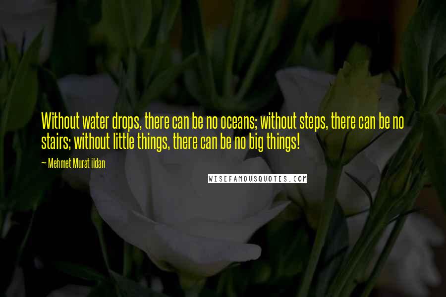 Mehmet Murat Ildan Quotes: Without water drops, there can be no oceans; without steps, there can be no stairs; without little things, there can be no big things!