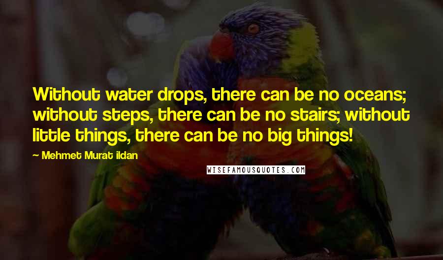 Mehmet Murat Ildan Quotes: Without water drops, there can be no oceans; without steps, there can be no stairs; without little things, there can be no big things!