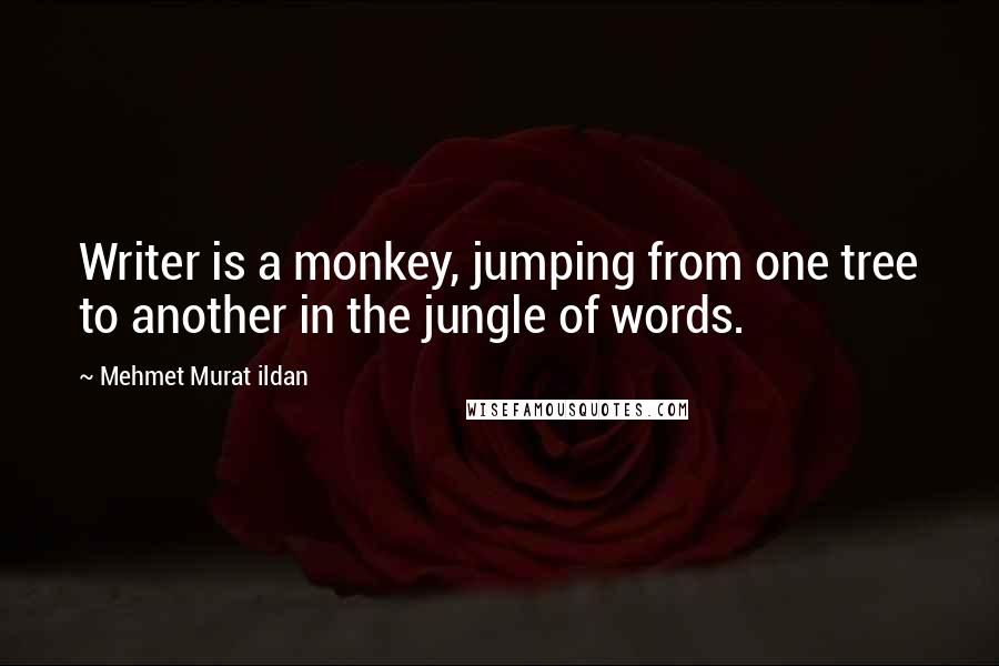 Mehmet Murat Ildan Quotes: Writer is a monkey, jumping from one tree to another in the jungle of words.