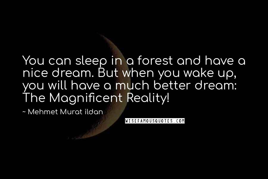 Mehmet Murat Ildan Quotes: You can sleep in a forest and have a nice dream. But when you wake up, you will have a much better dream: The Magnificent Reality!