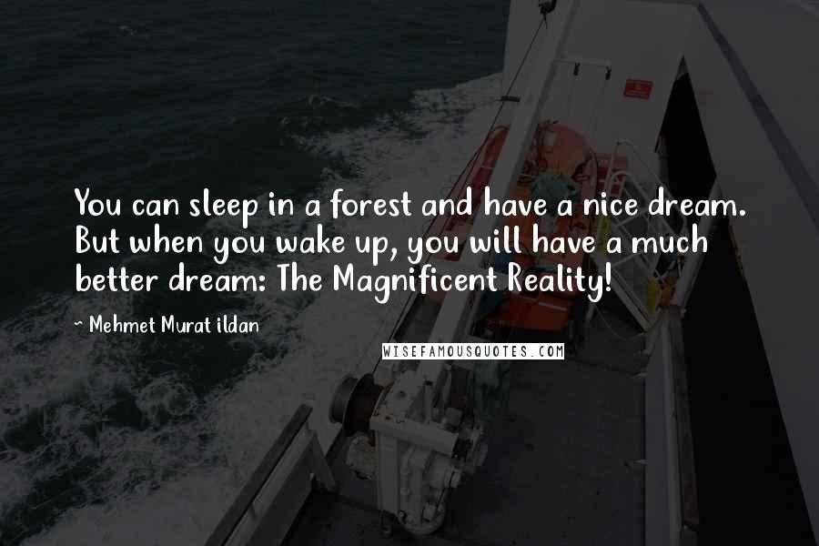 Mehmet Murat Ildan Quotes: You can sleep in a forest and have a nice dream. But when you wake up, you will have a much better dream: The Magnificent Reality!