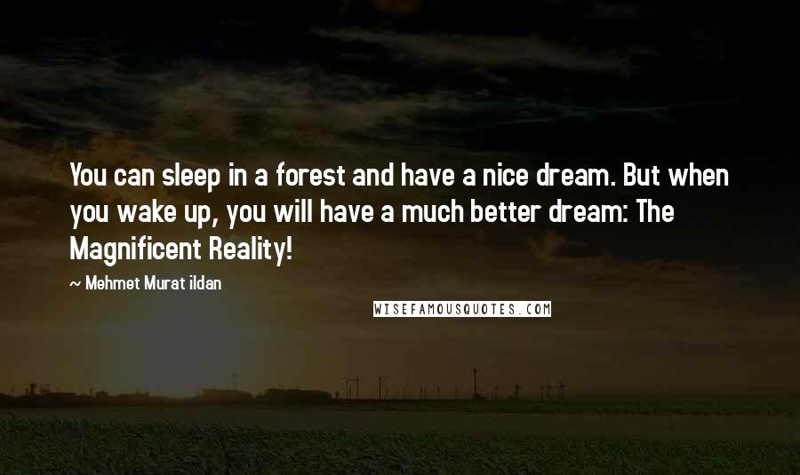 Mehmet Murat Ildan Quotes: You can sleep in a forest and have a nice dream. But when you wake up, you will have a much better dream: The Magnificent Reality!
